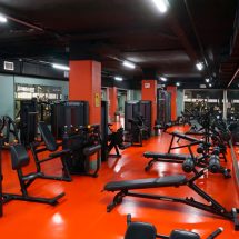 Gym / Spor Salonu Gym